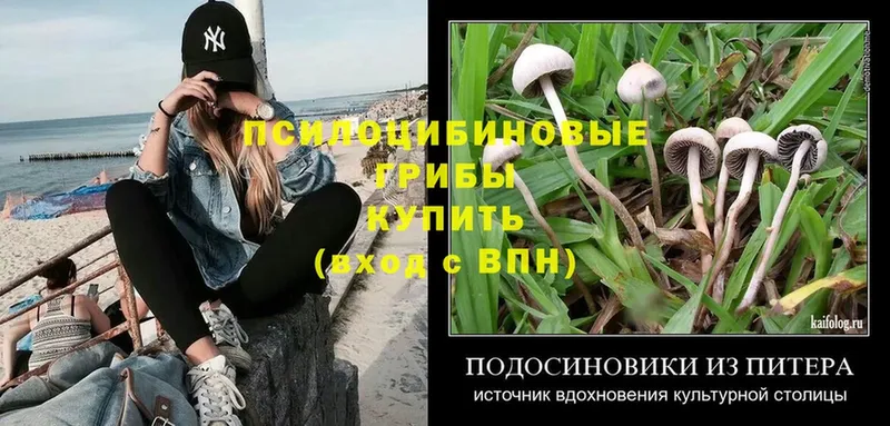 Псилоцибиновые грибы Magic Shrooms  где купить наркоту  Скопин 